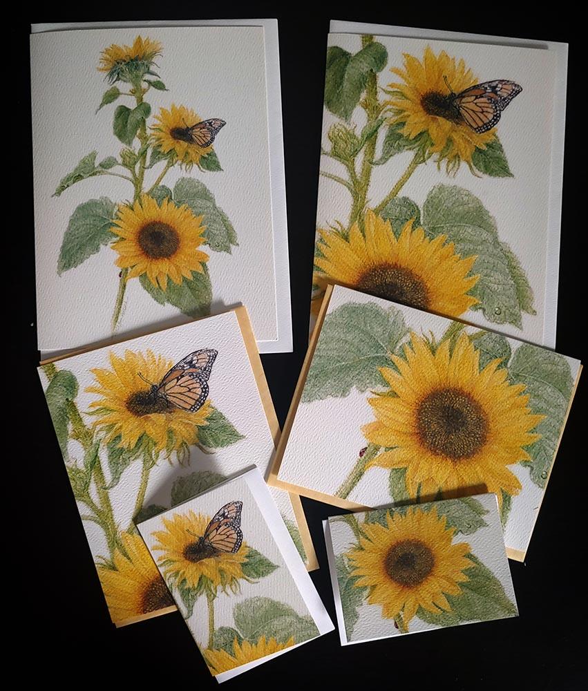 Assorted Sunflowers 