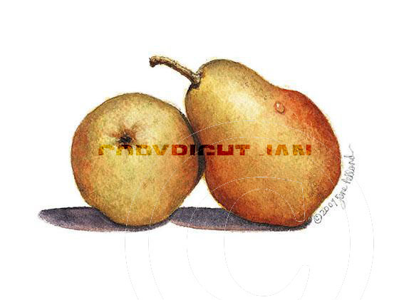 Pears 