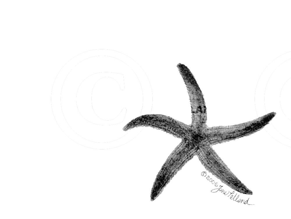 Starfish